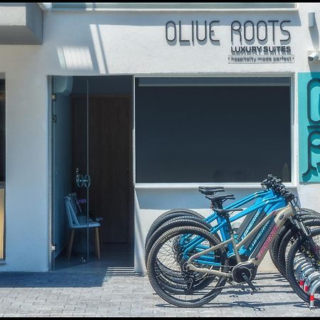 Olive Roots Hotel Skala Rachoni  Exterior photo