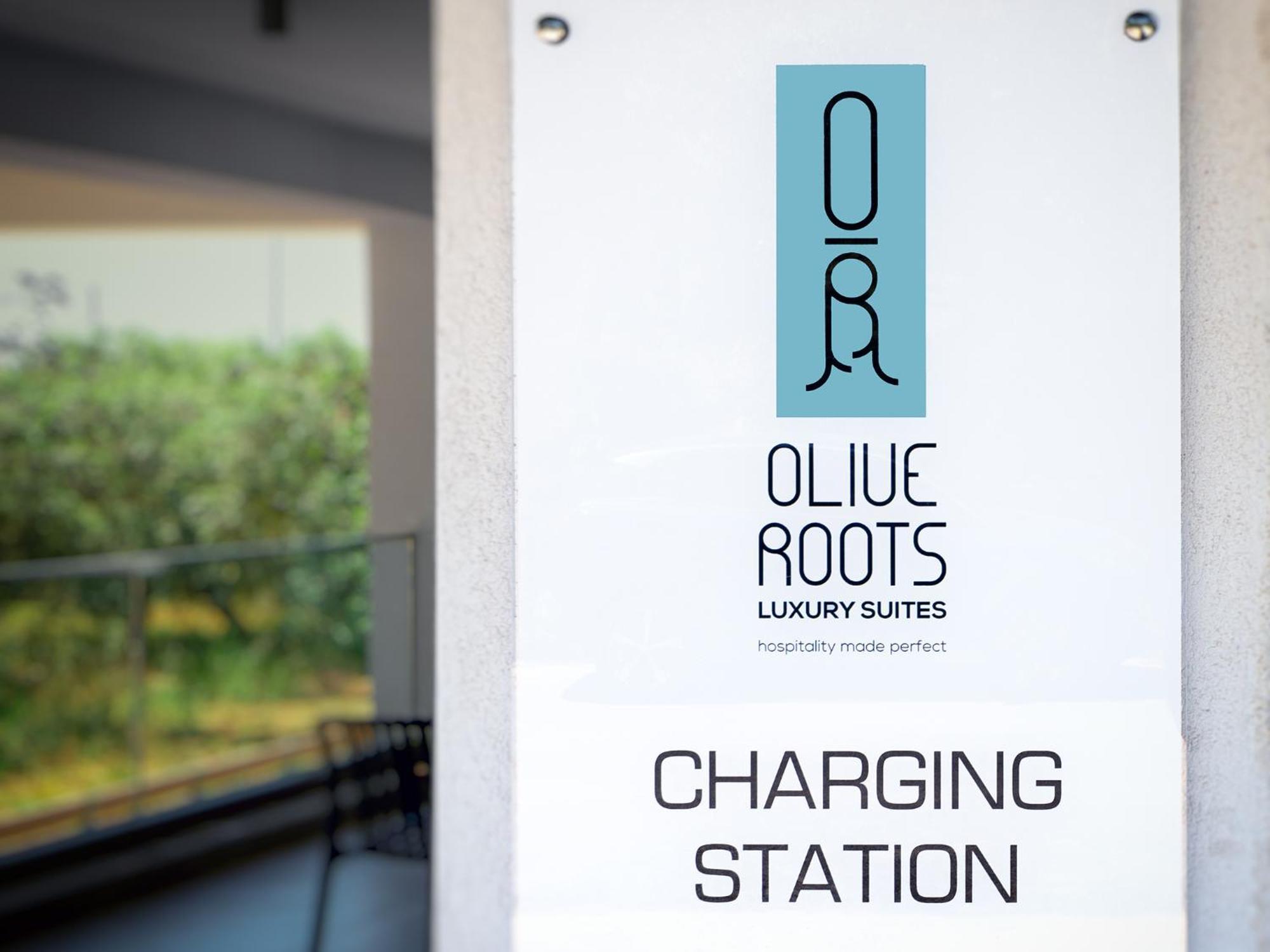 Olive Roots Hotel Skala Rachoni  Exterior photo